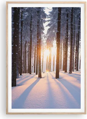 Produktbild von Gerahmtes Poster - Rahmen in heller Eiche - Wald Winter Schnee - 70x100 cm - Wand Bild - Wanddeko - Wandbilder - Wandposter - Bilderrahmen - Bilder - Kunstdruck - Wandbild - P2NPA70x100-3629