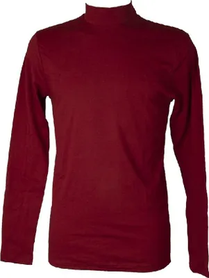 Immagine prodotto di Lupetto mezzo collo uomo maglia manica lunga caldo e soffice Cotone RAGNO articolo U262AZ BIO Cotone, 3 - TERZA, Cotone 100%