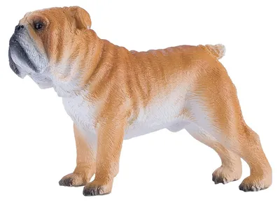 Immagine prodotto di Mojo Farmland Bulldog inglese - 381053