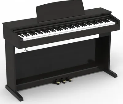 Immagine prodotto di Pianoforte digitale Orla CDP 2 in palissandro