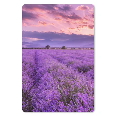 Produktbild von MuchoWow® Mauspad Mousepad Lavendel - Lila - Blumen - Feld 40x60 cm - Mousepads - Maus Mat - Pad - Mausunterlage - Schreibtisch Accesoire