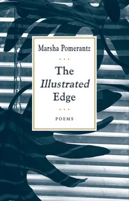 Produktbild von The Illustrated Edge