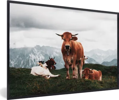 Produktbild von MuchoWow® Gerahmtes Poster Tiere - Kuh - Berg 90x60 cm - Poster mit Schwarzem Bilderrahmen Wandposter Rahmen Foto Bilder - Fotorahmen - Foto-Plakat