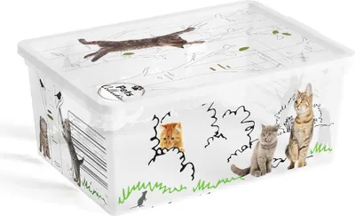 Produktbild von C Boxstil Haustiersammlung S, 10.5L