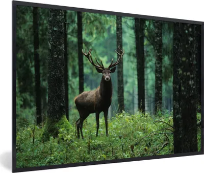 Produktbild von MuchoWow® Gerahmtes Poster Hirsche - Wald - Bäume - Tiere - Natur 60x40 cm - Poster mit Schwarzem Bilderrahmen Wandposter Rahmen Foto Bilder - Printing - Wanddeko Schlafzimmer
