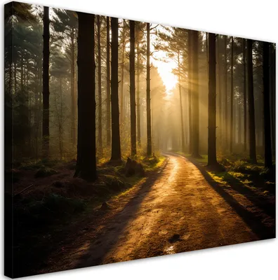 Produktbild von Leinwandbild  Waldweg 90x60 Feeby Braun bild für die wand bereit zum aufhängen