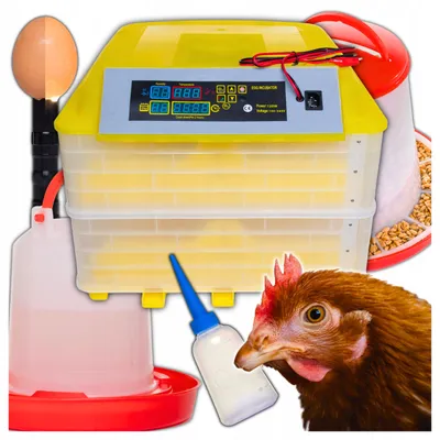Produktbild von Brutapparat, Brüter, Eierbrutapparate, 112 Eier, Futtertränke
