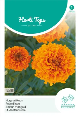 Produktbild von Studentenblume Hawaii | Studentenblumensamen von Hortitops