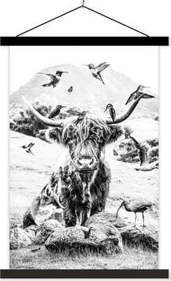 Produktbild von MuchoWow® Textilposter Schottisches Hochlandrind - Tiere - Berg 60x90 cm mit schwarzem Rahmen - Poster Wohnzimmer