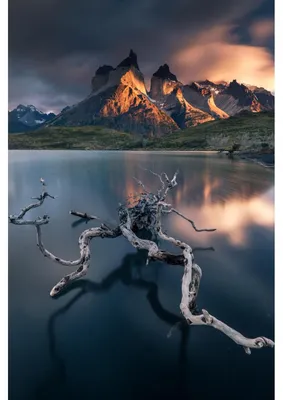 Image de Tableau sur toile élément naturel 65x97 cm, Tableau mural moderne pour décoration intérieure