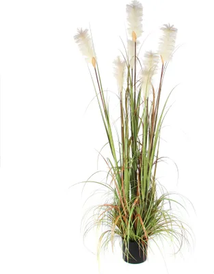 Produktbild von Mica Decorations Federgras Foxtail Kunstpflanze - H180 x Ø80 cm - Grün