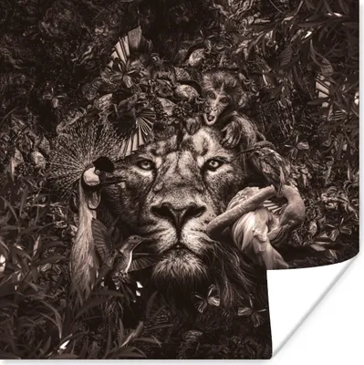 Produktbild von MuchoWow® Poster Tier - Afrika - Schwarz - Weiß 75x75 cm - Wand Dekoration