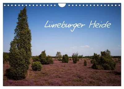 Produktbild von Lüneburger Heide (Wandkalender 2027 DIN A4 quer), CALVENDO Monatskalender