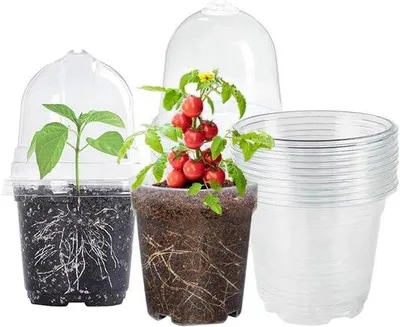 Produktbild von 10 Stück 10 cm Transparante Orchideenpflanzenbecher mit Kuppeldeckel - Runde Kunststoff-Topf für Setzlinge und Transplantationen