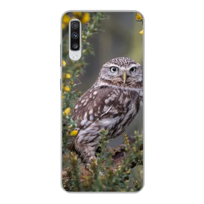 Produktbild von MuchoWow® Handyhülle Schutzhülle Hülle für Samsung Galaxy A70 Eine kleine braune Eule sitzt da und starrt nach vorne Silikon Softcase Handy Hülle - Schutzhaube