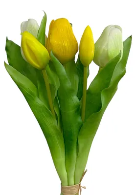 Produktbild von Künstlicher Tulpenbund, 5 Tulpen 30cm, Kunstblume Frühling Gelb-Weiß