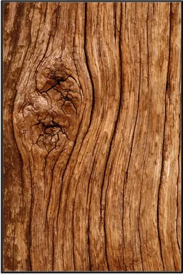 Produktbild von Wallario Wandbild Holzstamm mit Asteinschluss, Größe: 61 x 91,50 cm, Poster mit schwarzem Aluminiumrahmen
