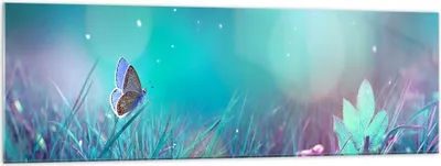 Produktbild von Bilder auf glas - Schmetterling Wiese Blume - 160x50cm - Glasbilder - Wandbilder - Kunstdruck - zum Aufhängen bereit - Wanddekoration aus Glas - Glas Bilder - Wandbild auf Glas - GAB160x50-4077