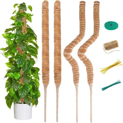 Productafbeelding van Famanu plantensteunen, 70 cm, set van 4 stuks