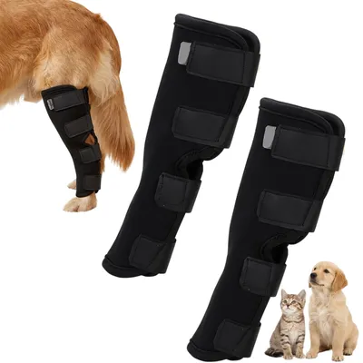 Productafbeelding van 2 stuks sprunggelenkbandage voor honden, lekscherm voor voor- en achterpoten