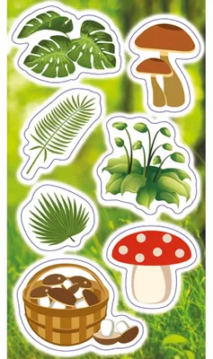 Image de Stickers Plantes et champignons