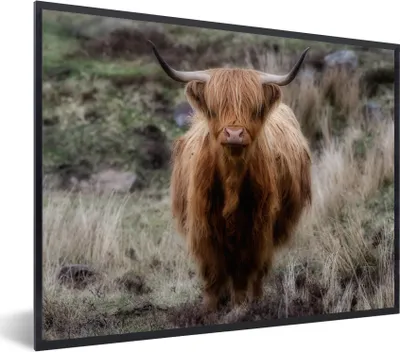 Produktbild von MuchoWow® Gerahmtes Poster Schottischer Hochländer - Moos - Gras 80x60 cm - Poster mit Schwarzem Bilderrahmen Wandposter Rahmen Foto Bilder - Schwarzem - Mit Gestell