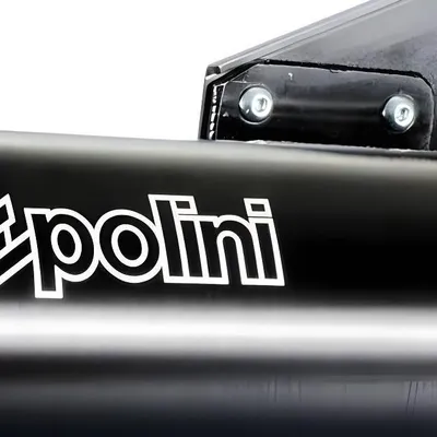 Produktbild von Polini Auspuffanlage mit ABE 125ie 150ie kompatibel mit Vespa Primavera