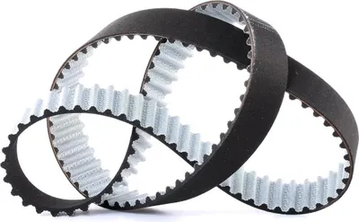 Produktbild von DAYCO 94884 Zahnriemen für VW Lupo (6X1, 6E1) 117-Zähne