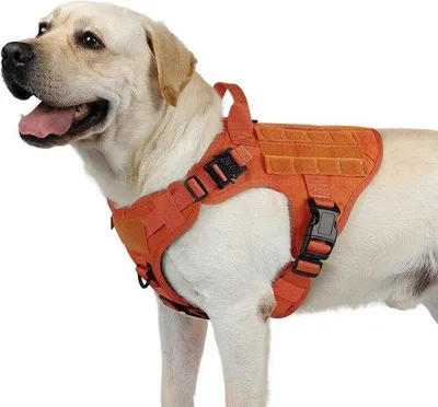 Image de Harnais tactique pour chien avec boucle métallique, réglable, orange, taille moyenne
