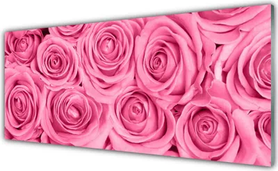 Produktbild von Glasbilder 125x50 Wandbild Druck auf Glas Rosen Pflanzen