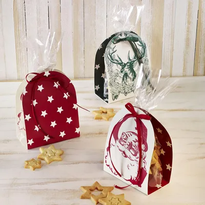 Produktbild von Geschenk-Zellglasbeutel mit Geschenktasche