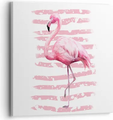 Produktbild von Bild auf Leinwand - Leinwandbild - Flamingo Vogel Wasser - 30x30cm - Wand Bild - Wanddeko - Leinwanddruck - Bilder - Kunstdruck - Wanddekoration - Leinwand bilder - Wandkunst - AC30x30-3938