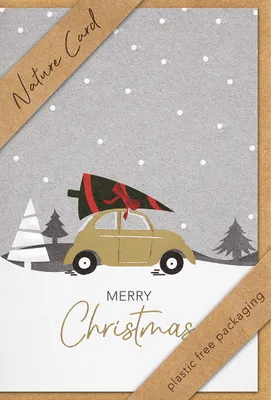 Produktbild von bsb 22-6914-2 Weihnachtskarte - Natur Card, inkl. Umschlag