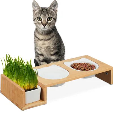 Produktbild von relaxdays Katzen Futterstation & Katzengras Schale