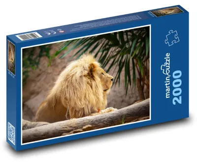 Zdjęcie produktu dla martinpuzzle - Puzzle 2000 - Lew - Król zwierząt