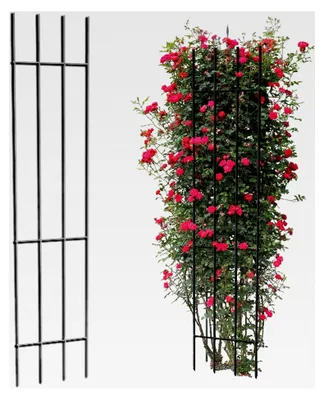 Produktbild von Kapaga - Rankgitter - Rankhilfe für den Garten - Staudenhalter - Blumenhalter - Pflanzenstütze für Rankengewächse - Blumenstütze - Staudenstütze - Strauchhalter (Schwarz, 150 cm)