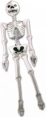 Produktbild von Kleines Skelett zum Aufblasen 53 cm