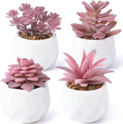 Image de Petites plantes artificielles en pot, lot de 4, rose, décoration