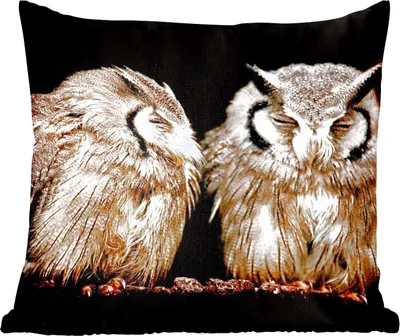 Produktbild von MuchoWow® Zierkissen Sofakissen Wohnzimmer Dekokissen 50x50 cm Eule - Vogel - Schwarz - Komfort - Sofakissen