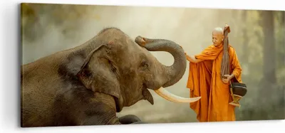 Produktbild von Bild auf Leinwand - Leinwandbild - Elefant Mönch Stoßzahn - 120x50cm - Wand Bild - Wanddeko - Leinwanddruck - Bilder - Kunstdruck - Wanddekoration - Leinwand bilder - Wandkunst - AB120x50-3484