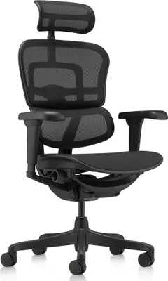 Produktbild von hjh OFFICE Luxus Chefsessel ERGOHUMAN SIGNATURE GEN2 Ergonomischer Bürostuhl mit Armlehnen (höhenverstellbar) Netzstoff Drehstuhl für Büro, Zuhause