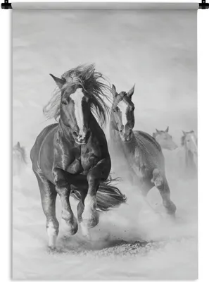 Produktbild von MuchoWow® Wandteppich Wandbehang Pferde - Tiere - Illustration 90x135 cm Tapisserie Dekoration Wandtuch - Baumwolle - Wandskulptur