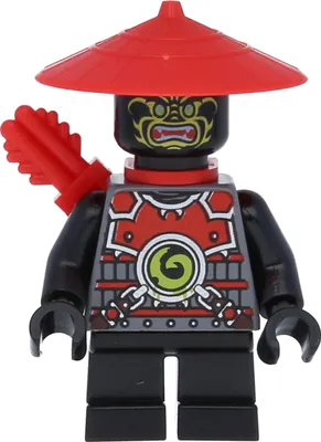 Image de LEGO Ninjago : Stein-Späher