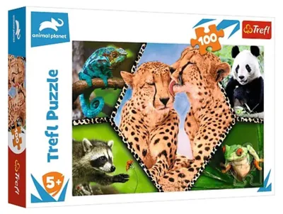 Image de Puzzle Animal Planet