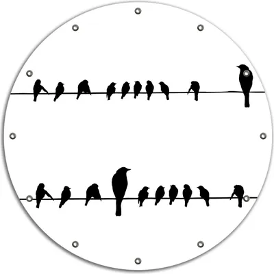 Produktbild von Wallario rundes Outdoor-Poster für Garten oder Balkon, Motiv Vögel auf einer Stromleitung, 90 cm Durchmesser