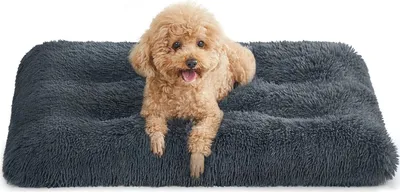 Produktbild von FEANDREA Hundebett, Haustiermatte, weich, 80 x 50 cm, weiche Füllung, maschinenwaschbar, Kissen für Hunde, multifunktional, dunkelgrau