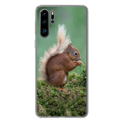 Produktbild von MuchoWow® Handyhülle Schutzhülle Hülle für Huawei P30 Pro Eichhörnchen - Wald - Moos Silikon Softcase Handy Hülle - Schutzdeckel