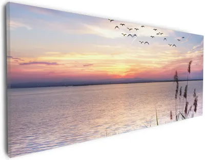 Produktbild von Wallario Premium Leinwandbild Seepanorama mit Schilf und fliegenden Vögeln in Größe 30 x 75 cm