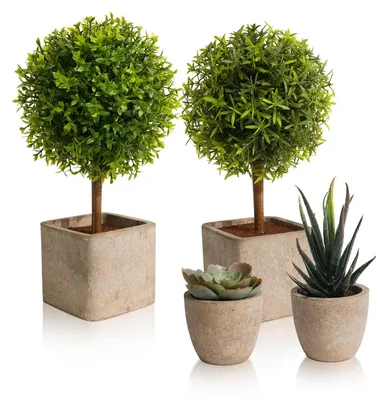 Image de Plantes artificielles, 25,5/14,6 cm, plantes artificielles réalistes pour la décoration du salon, petites plantes succulentes artificielles pour le bureau, la chambre, la salle de bains, la cuisine, la décoration d'intérieur