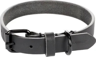 Produktbild von Flamingo Halsband Leano schwarz, Maße: 31 - 39 cm / 20 mm